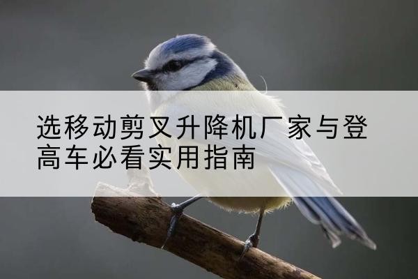 红河电动升降机厂家-选移动剪叉升降机厂家与登高车必看实用指南