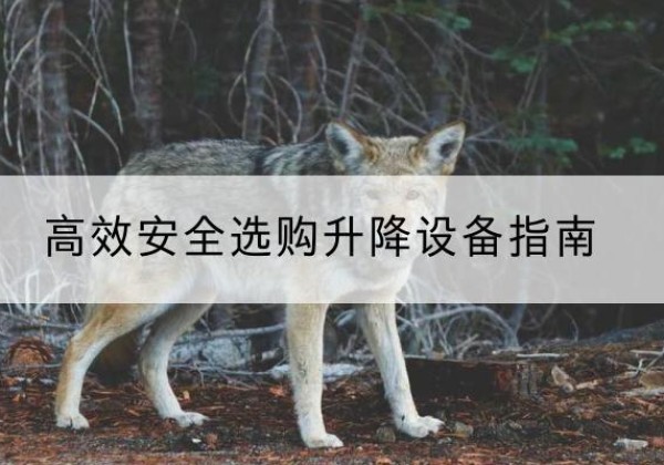 红河升降货梯厂家推荐-*安全选购升降设备指南
