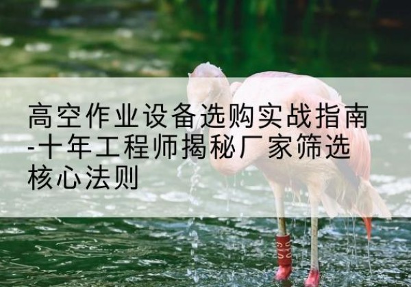 红河剪叉式升降机厂家-高空作业设备选购实战指南-十年工程师揭秘厂家筛选核心法则